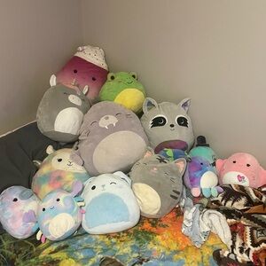 Squishmallows Assorted Plush Toys